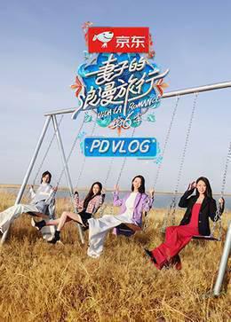 妻子的浪漫旅行6 PDvlog
