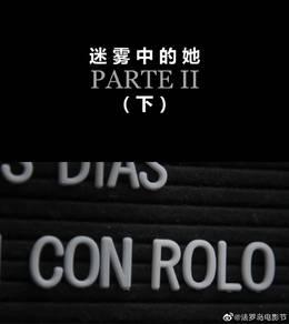 迷雾中的她（下）