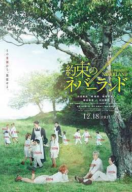 约定的梦幻岛