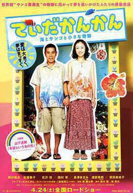 阳光灿烂 大海珊瑚小小的奇迹