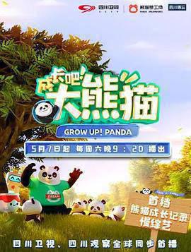 成长吧！大熊猫